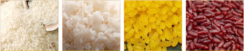 fortified rice kernel001 fortified rice kernel001