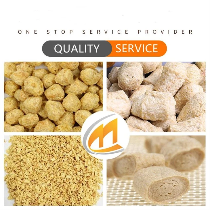 soya chunks processing