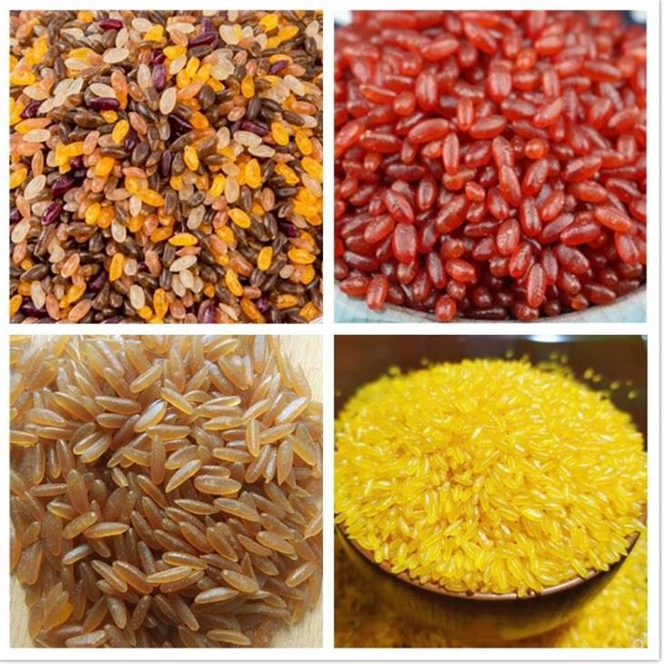staple food fortification rice