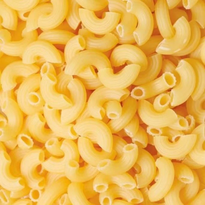 Macaroni Manufacturing Machine