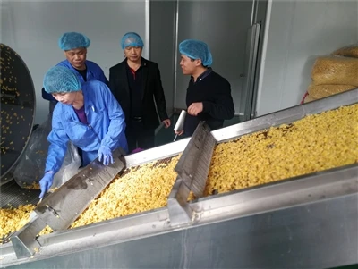How To Produce Breakfast Corn Flakes