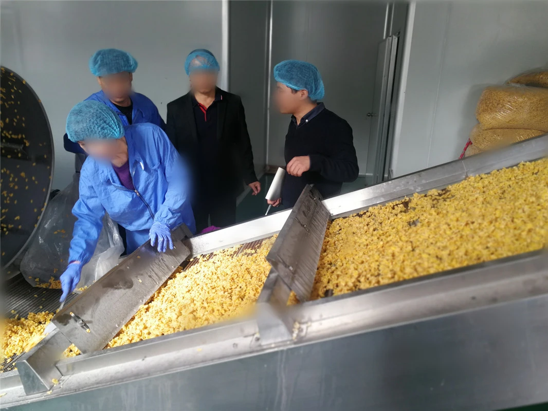 double screw extruder