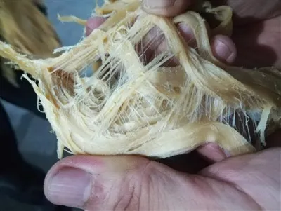 High-moisture Soy Protein Extrusion Line